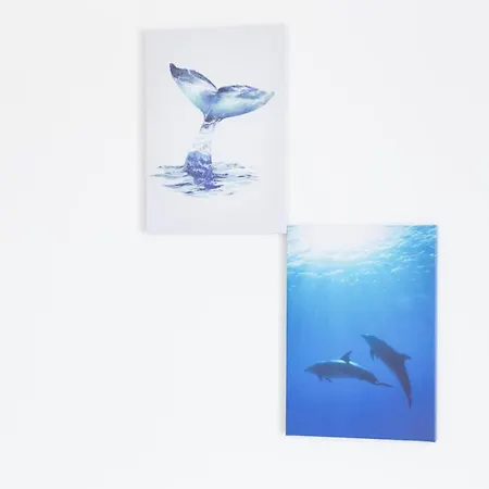 Ocean Daire
